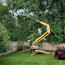 Best Commercial Tree Services  in Grenada, MS